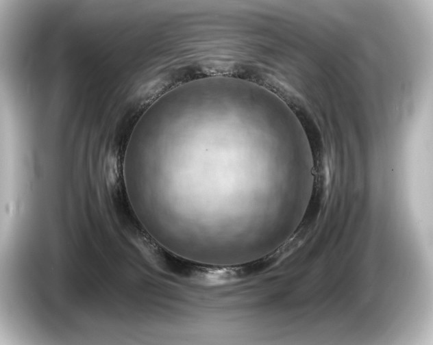 X0000085750130200703161104