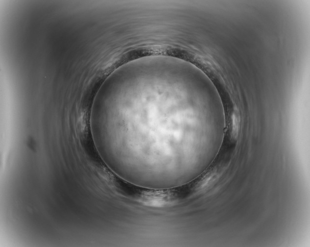 X0000085750131200703161104