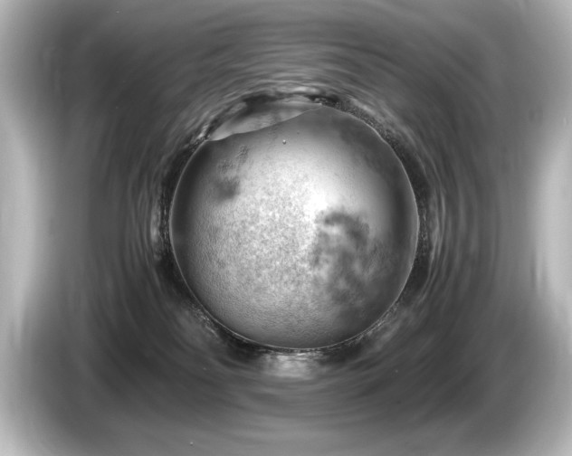 X0000085750134200703161103