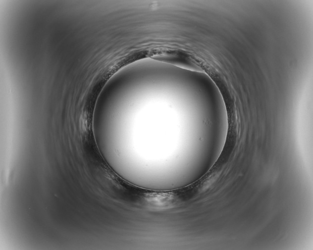 X0000085750135200703161103