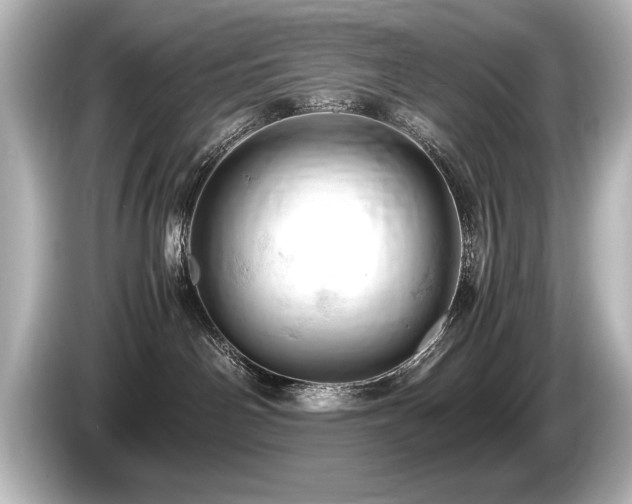 X0000085750142200703161103