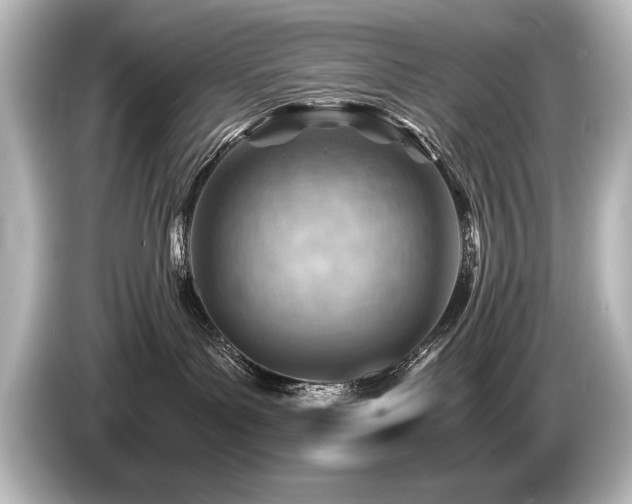 X0000085750143200703161103