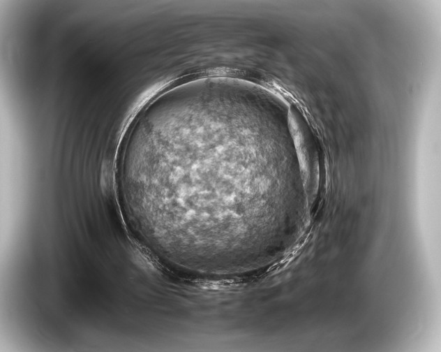X0000085750147200703161103