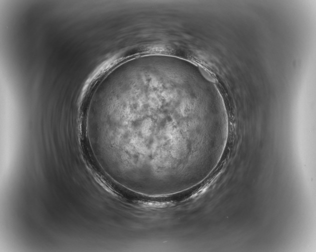 X0000085750149200703161103