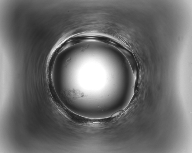 X0000085750150200703161103