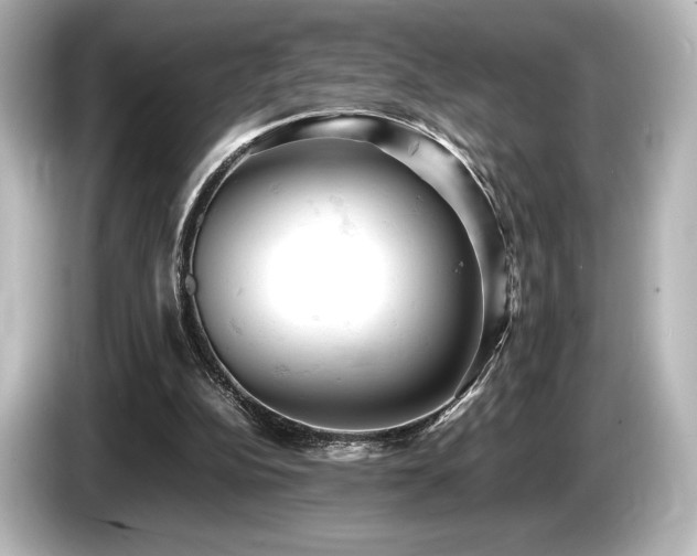 X0000085750152200703161103