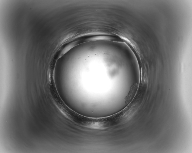 X0000085750157200703161103