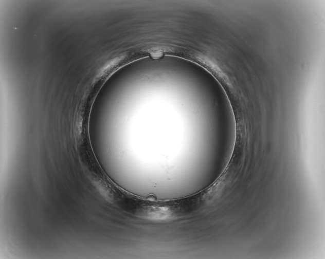 X0000085750159200703161103