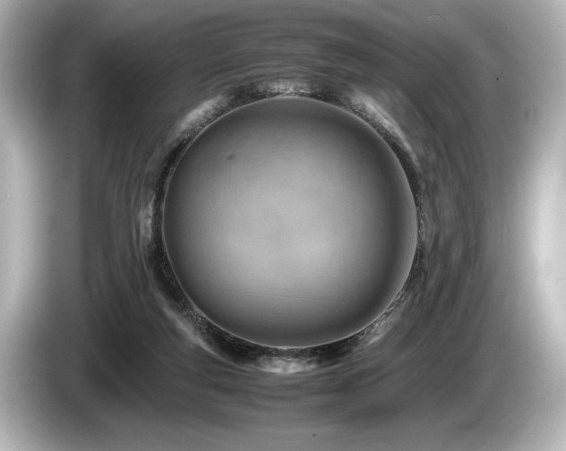 X0000085750163200703161103