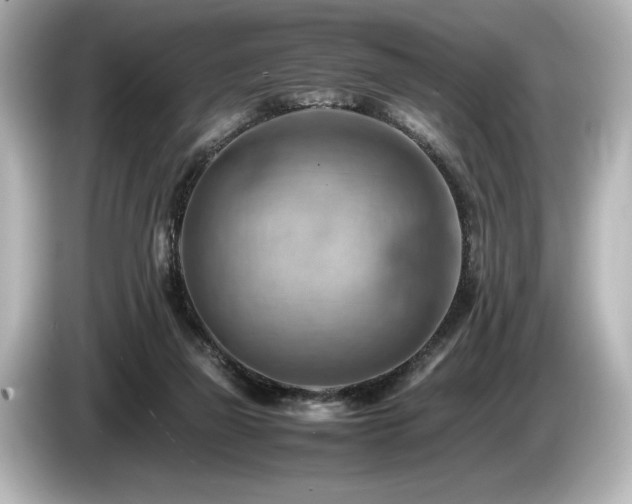 X0000085750165200703161103