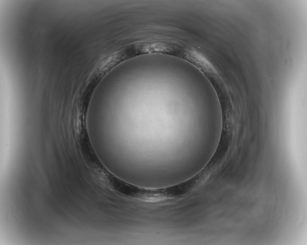 X0000085750169200703161103