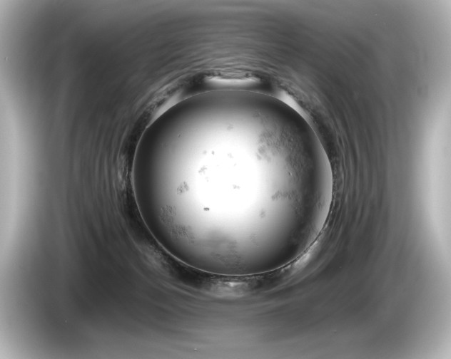 X0000085750174200703161103