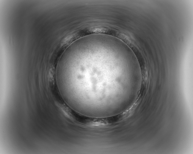 X0000085750175200703161103