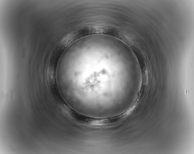 X0000085750178200703161103