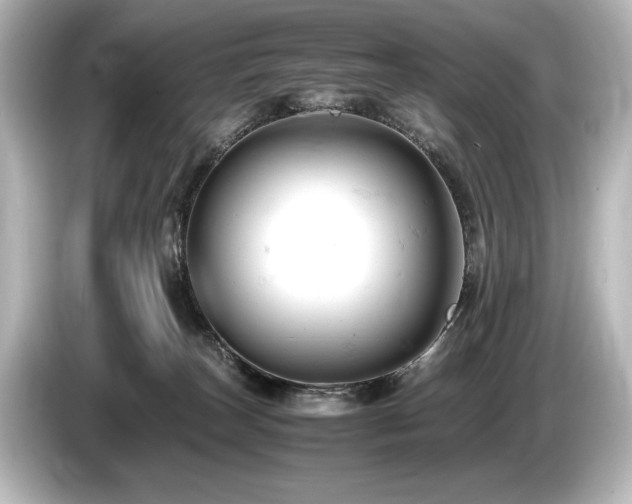 X0000085750179200703161103