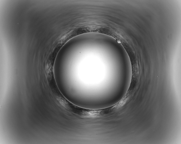 X0000085750184200703161103
