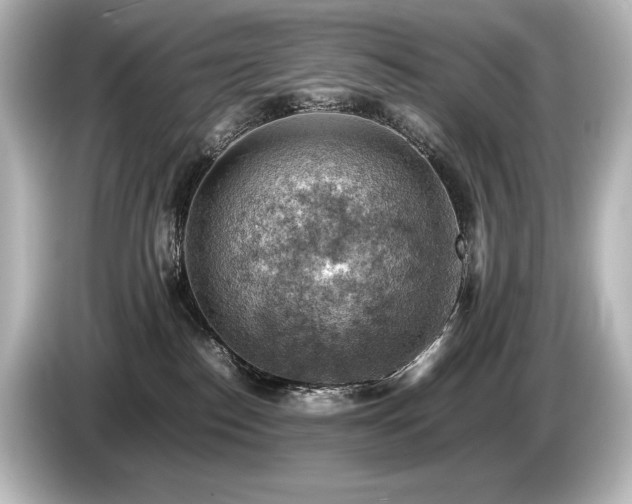X0000085750186200703161103