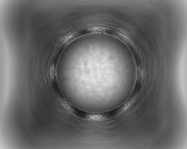 X0000085750189200703161103