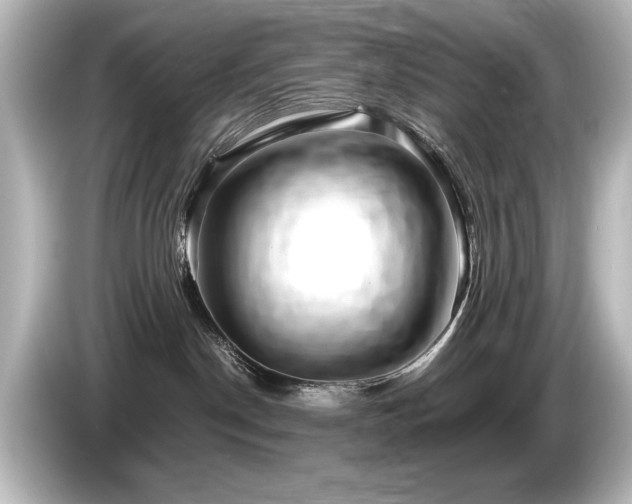 X0000085750190200703161103