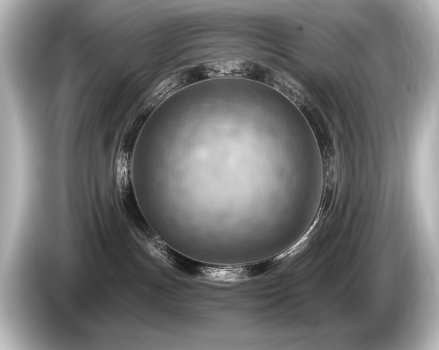 X0000085750191200703161103