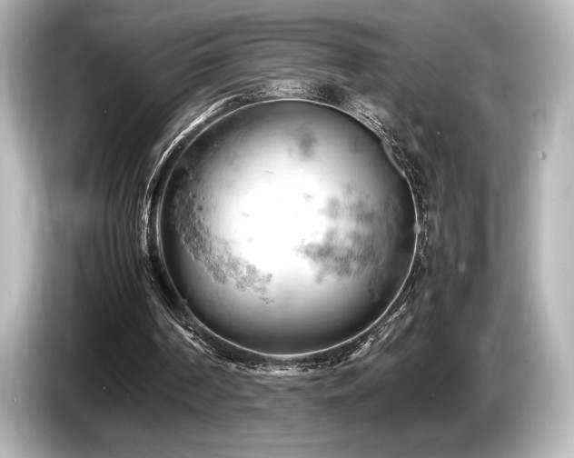 X0000085750194200703161103