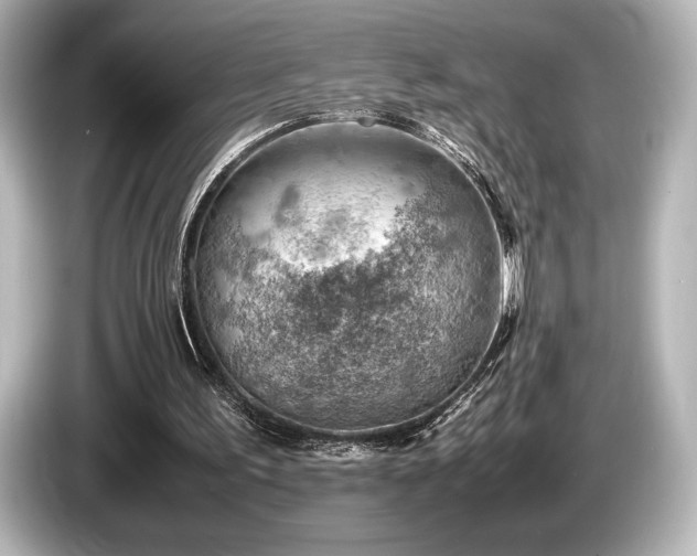X0000085750195200703161103