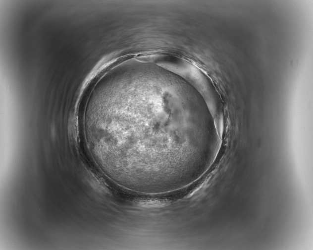 X0000085750198200703161103