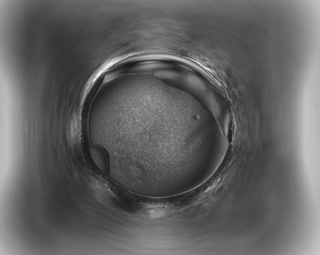 X0000085750200200703161103