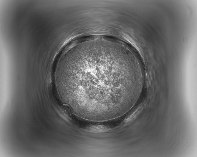 X0000085750203200703161103