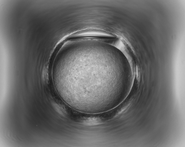 X0000085750204200703161102