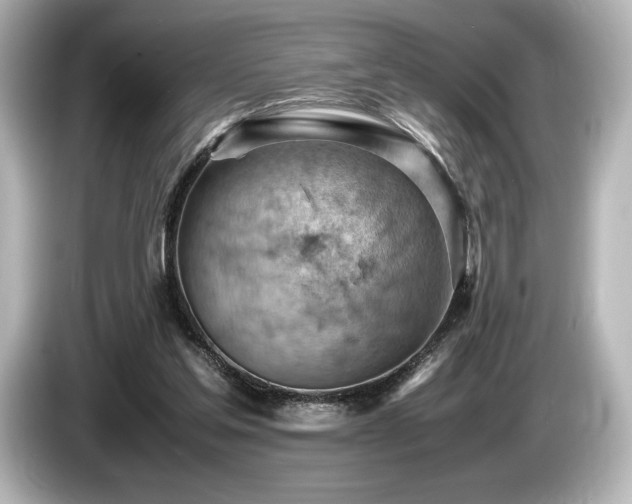X0000085750205200703161102