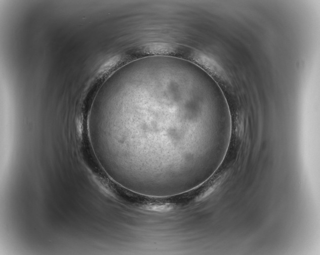 X0000085750206200703161102