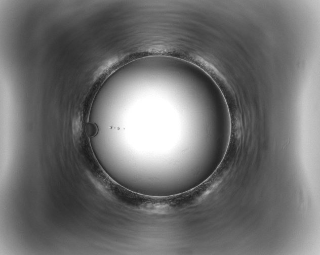 X0000085750208200703161102
