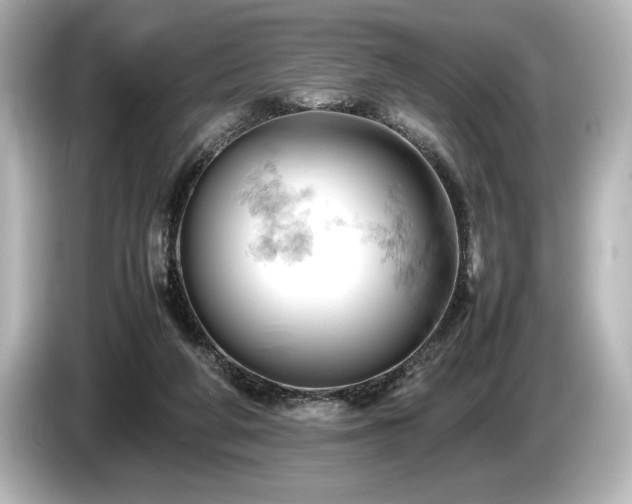 X0000085750210200703161102