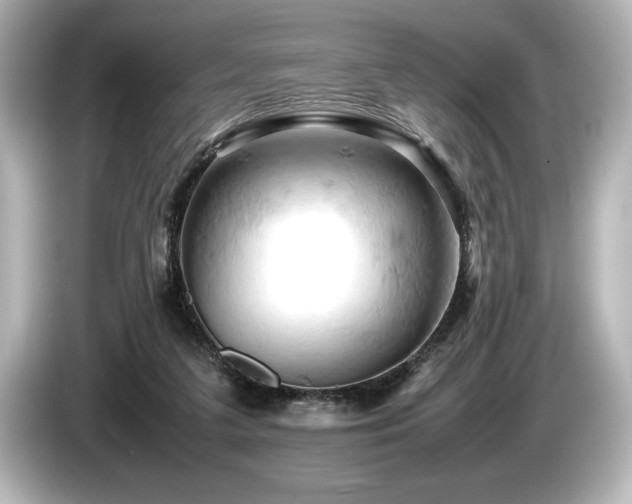 X0000085750211200703161102