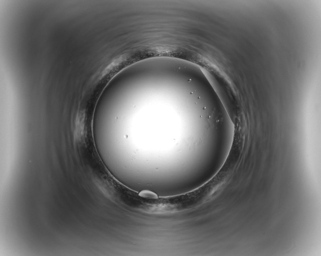 X0000085750212200703161102