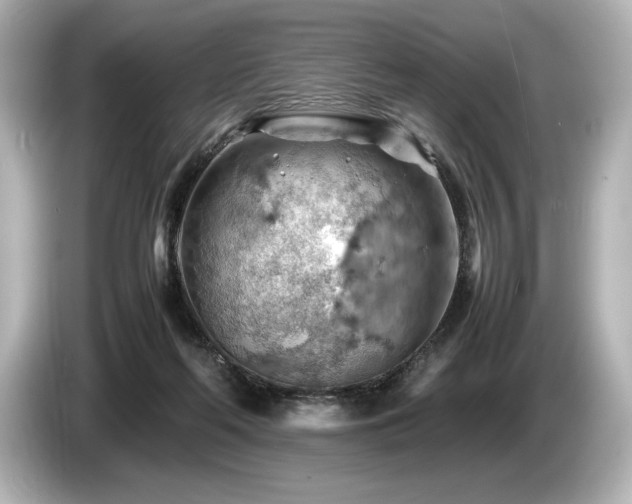 X0000085750214200703161102