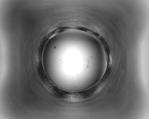 X0000085750215200703161102