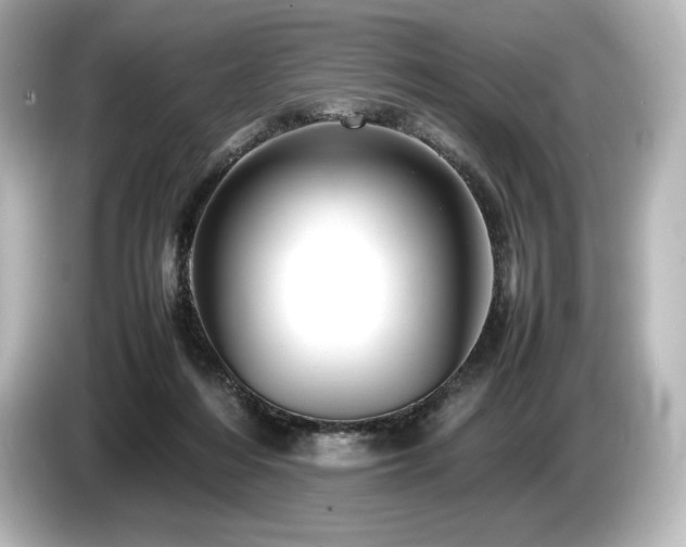 X0000085750216200703161102