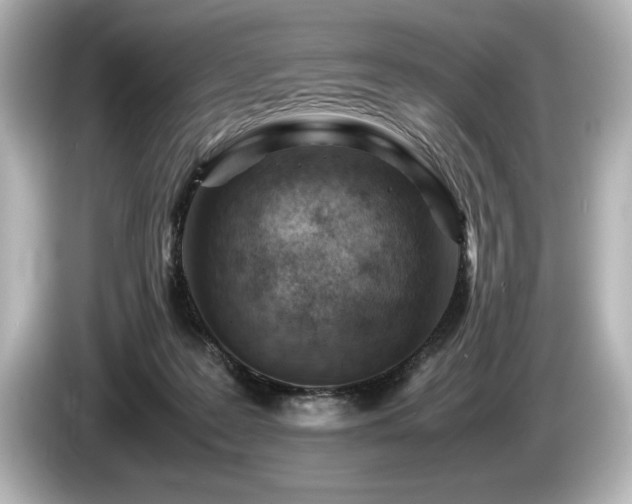 X0000085750219200703161102