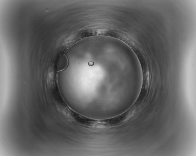 X0000085750222200703161102