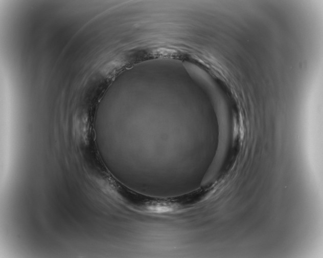 X0000085750223200703161102