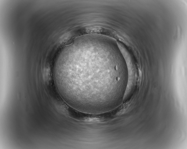 X0000085750224200703161102