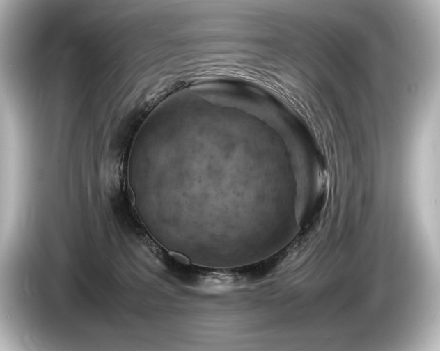 X0000085750227200703161102