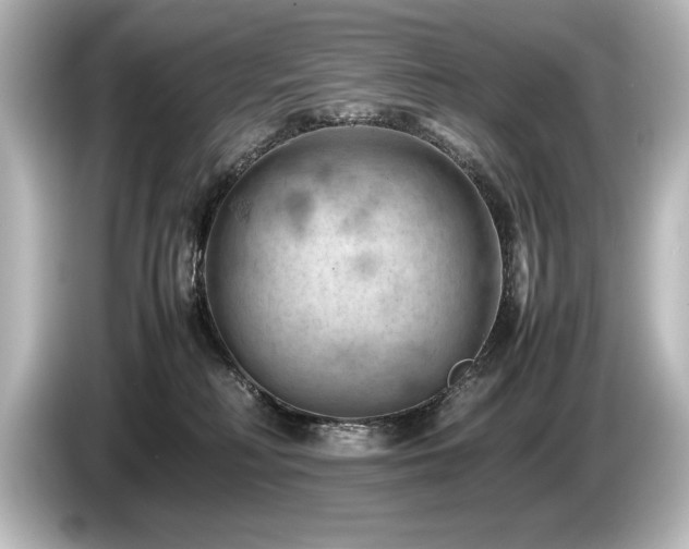 X0000085750230200703161102