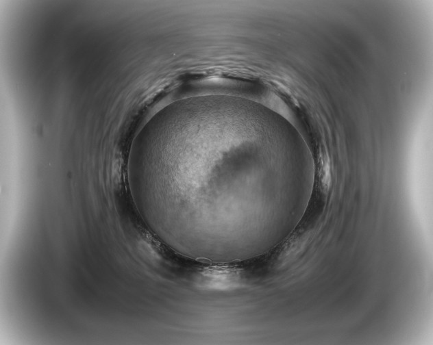 X0000085750231200703161102