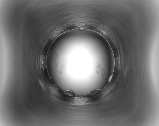 X0000085750234200703161102