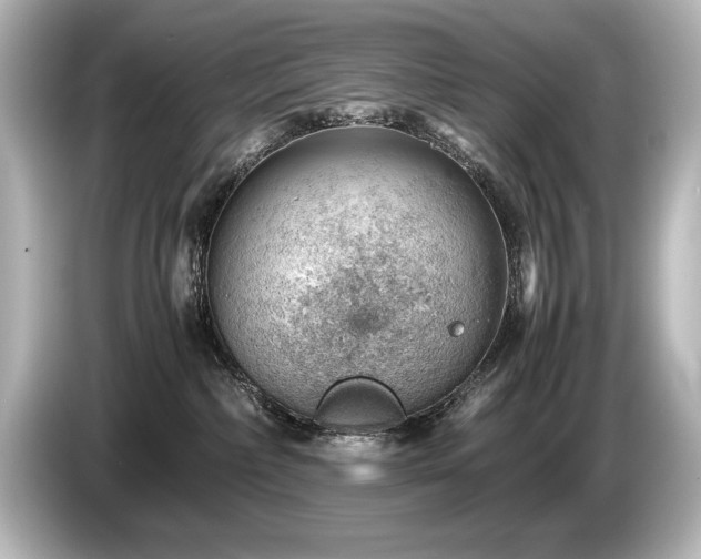X0000085750236200703161102