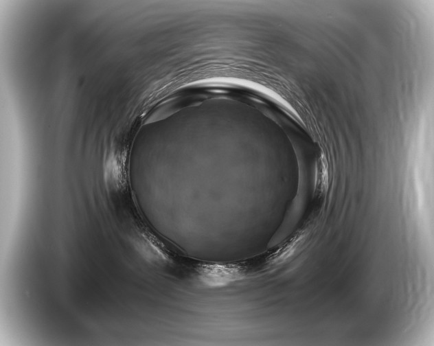 X0000085750239200703161102
