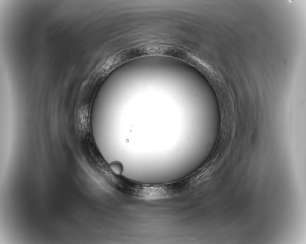 X0000085750240200703161102